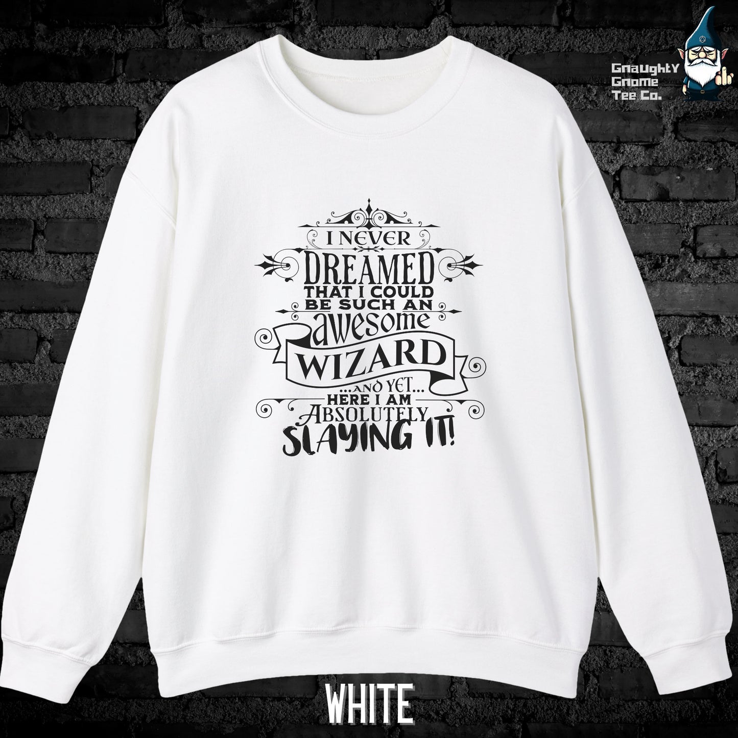 DnD WIZARD Sweatshirt - I Never Dreamed...