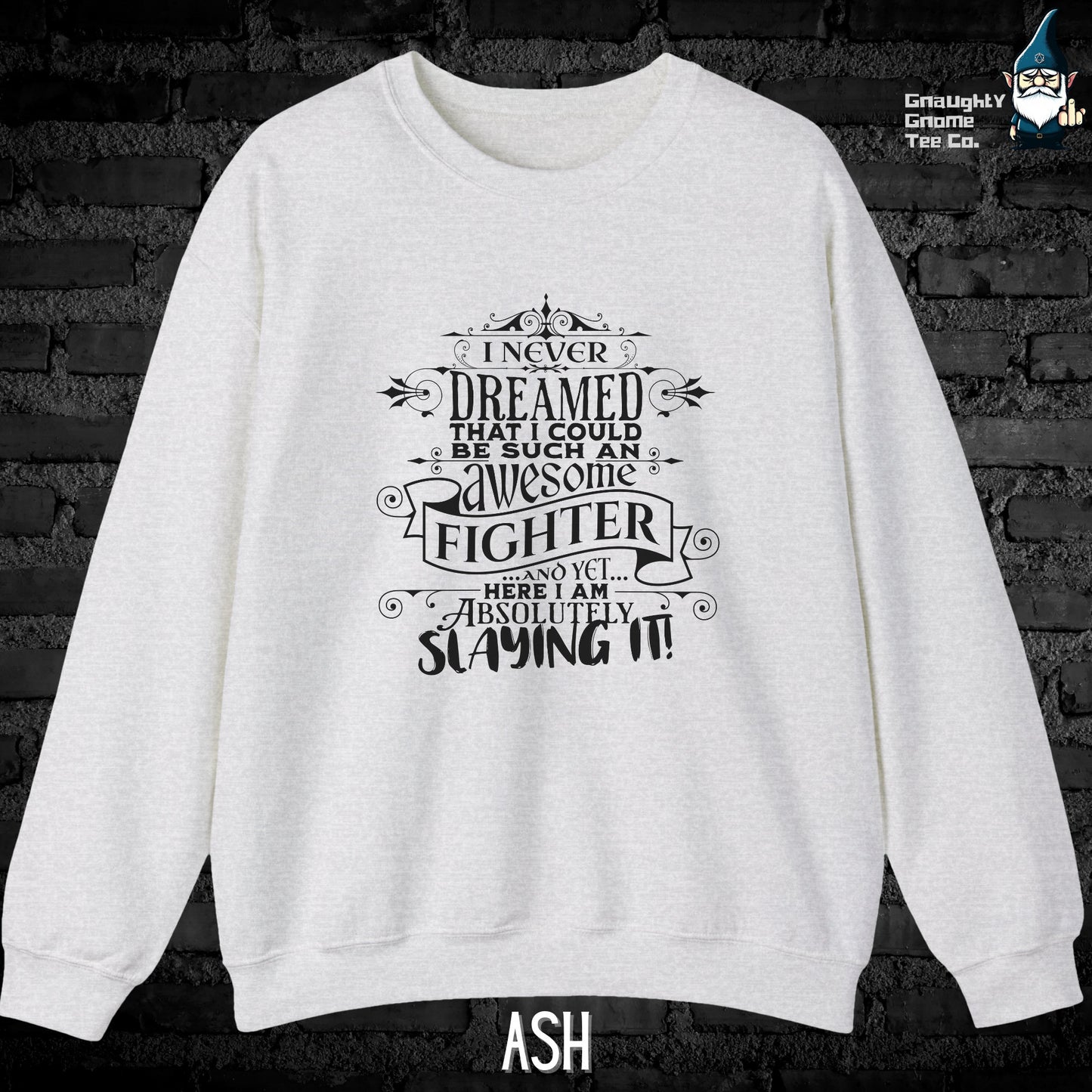 DnD FIGHTER Sweatshirt - I Never Dreamed...